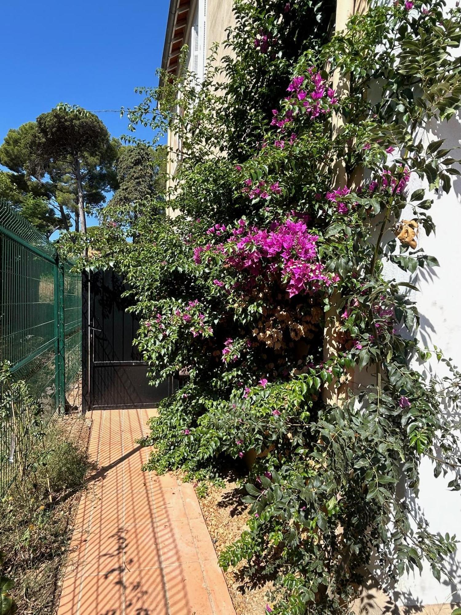Villa Les Lys 2 La Seyne-sur-Mer Eksteriør billede